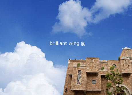 brilliant wing W